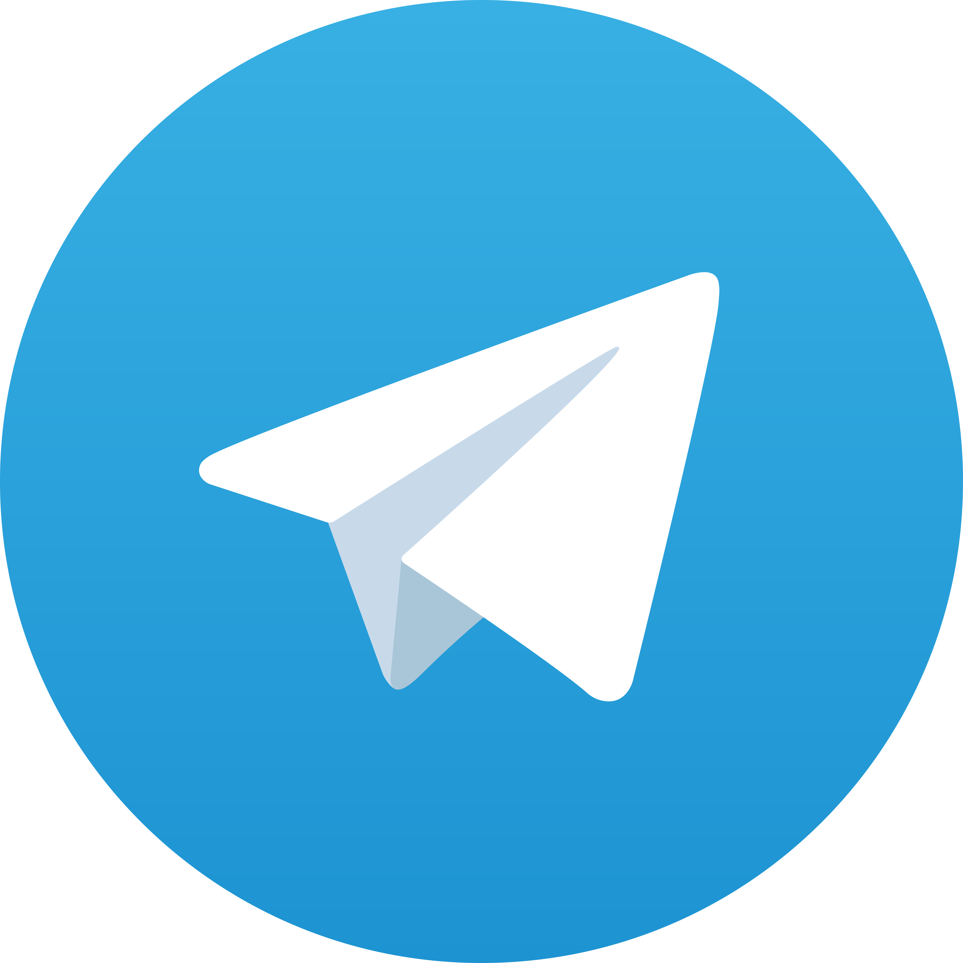Telegram Icon99